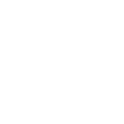Mighty Pine Brewing